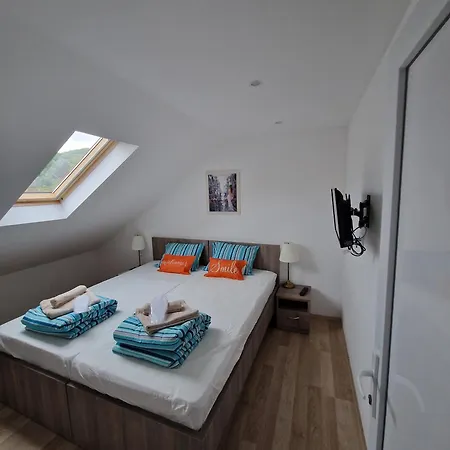 Apartment Viking Donji Milanovac