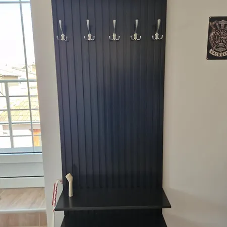 Viking Apartment Donji Milanovac