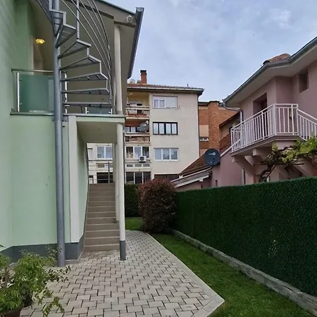 Viking Donji Milanovac